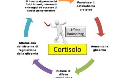 IL CORTISOLO