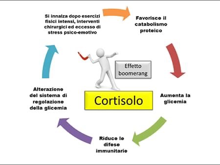 IL CORTISOLO